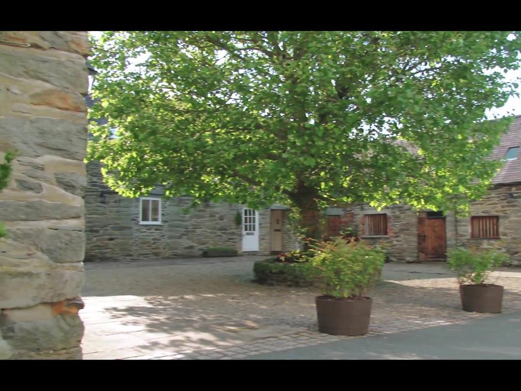 Bryn Melyn Farm Bala